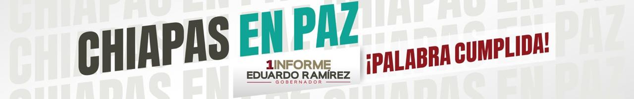 Primer Informe de Gobierno